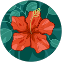 Meghana Devarapalli profile picture